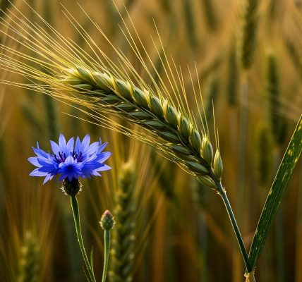 découvrez l'agriculture durable, une approche innovante qui préserve l'environnement tout en répondant aux besoins alimentaires mondiaux. apprenez les pratiques écoresponsables qui favorisent la santé des sols, la biodiversité et la gestion des ressources naturelles.