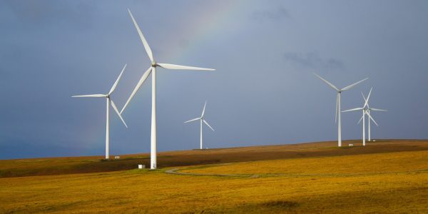 découvrez le tourisme durable : une approche qui préserve l'environnement, soutient les économies locales et offre des expériences authentiques. engagez-vous pour un voyage responsable et respectueux de la planète.