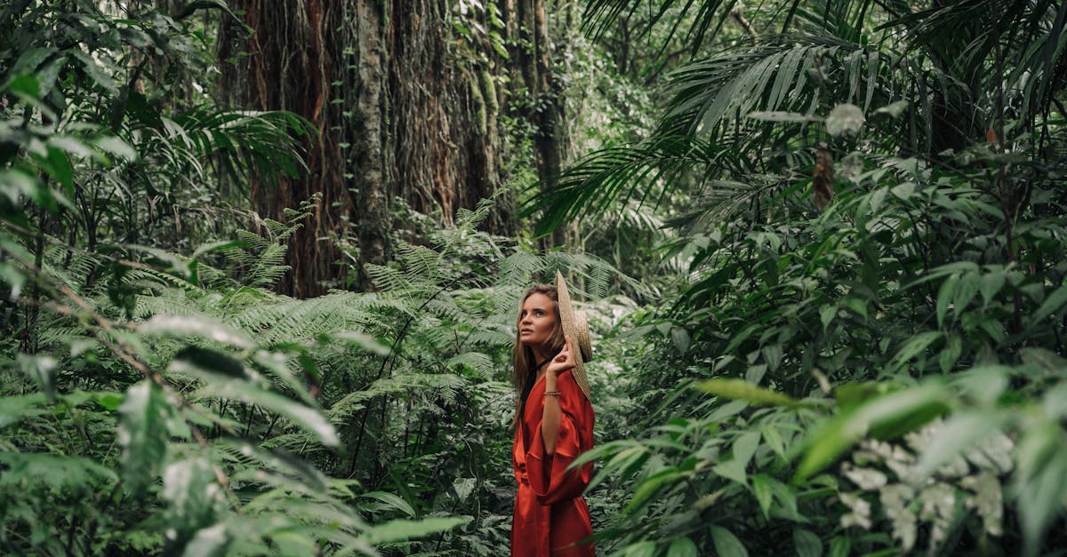 découvrez le voyage durable : des conseils pour explorer le monde tout en respectant l'environnement. apprenez à choisir des destinations écoresponsables, à réduire votre empreinte carbone et à soutenir les initiatives locales tout en profitant d'expériences mémorables.