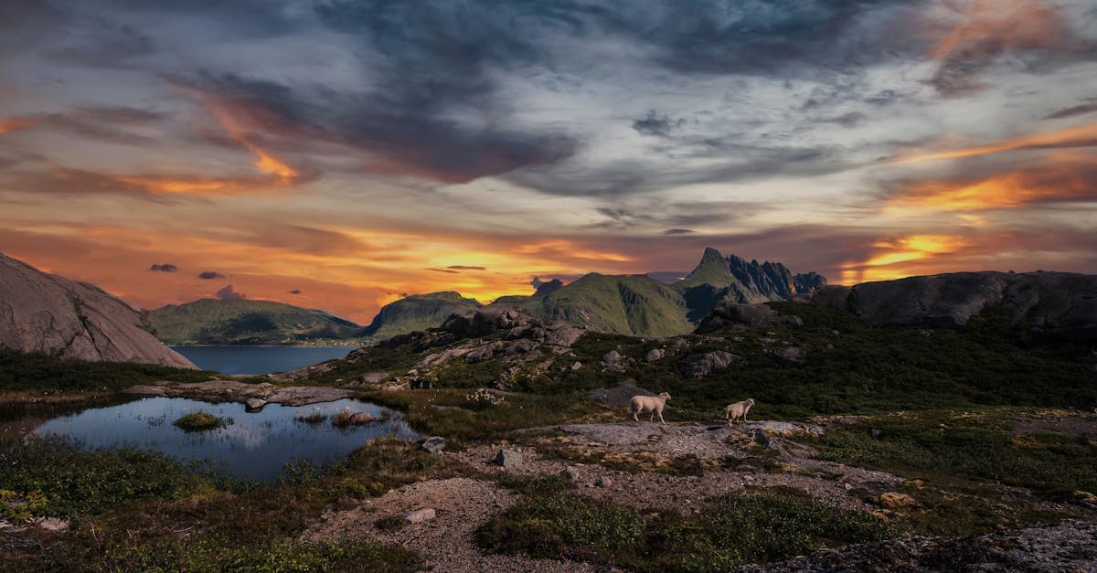 découvrez des expériences de voyage inoubliables qui éveilleront vos sens et élargiront vos horizons. que ce soit une aventure en pleine nature, une immersion culturelle ou une escapade urbaine, explorez des récits inspirants et des conseils pratiques pour votre prochain voyage.
