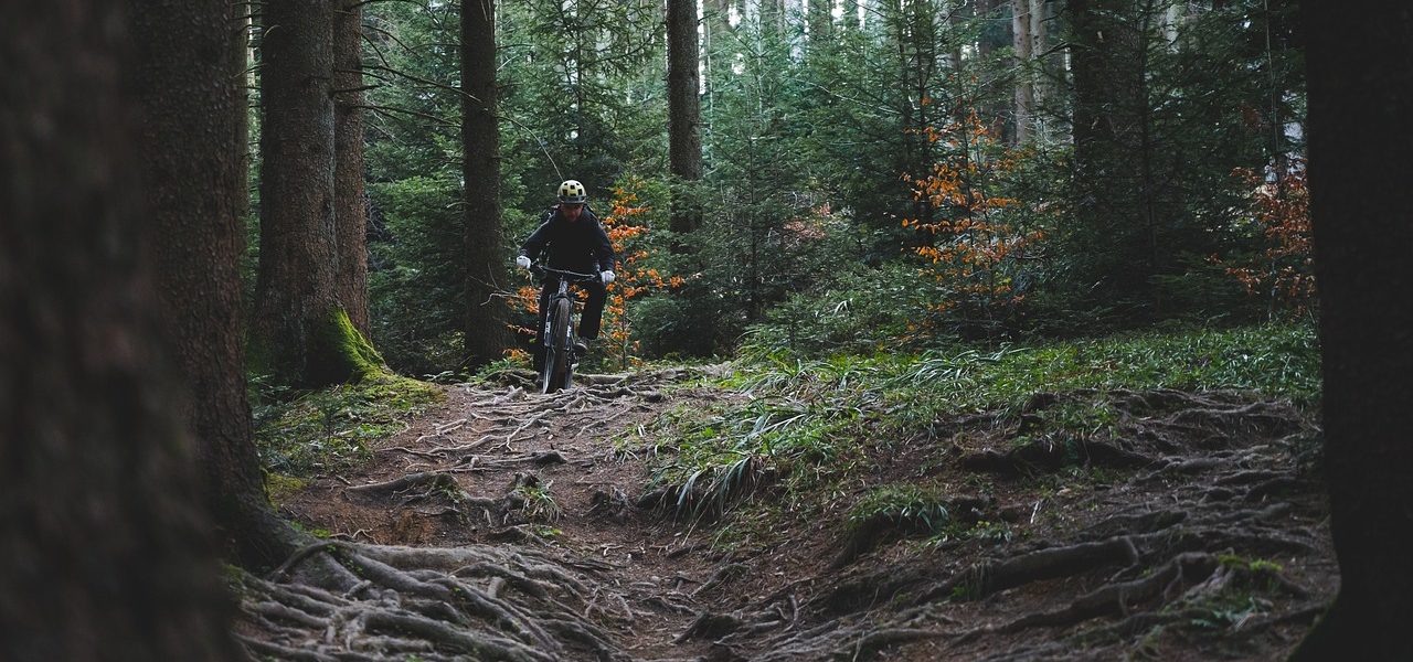 découvrez le monde passionnant du biking ! que vous soyez débutant ou expert, explorez des astuces, des itinéraires sensationnels et des conseils pour maximiser votre expérience à vélo. rejoignez notre communauté de passionnés et vivez des aventures inoubliables sur deux roues.