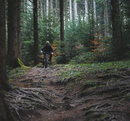découvrez le monde passionnant du biking ! que vous soyez débutant ou expert, explorez des astuces, des itinéraires sensationnels et des conseils pour maximiser votre expérience à vélo. rejoignez notre communauté de passionnés et vivez des aventures inoubliables sur deux roues.