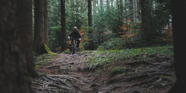 découvrez le monde passionnant du biking ! que vous soyez débutant ou expert, explorez des astuces, des itinéraires sensationnels et des conseils pour maximiser votre expérience à vélo. rejoignez notre communauté de passionnés et vivez des aventures inoubliables sur deux roues.