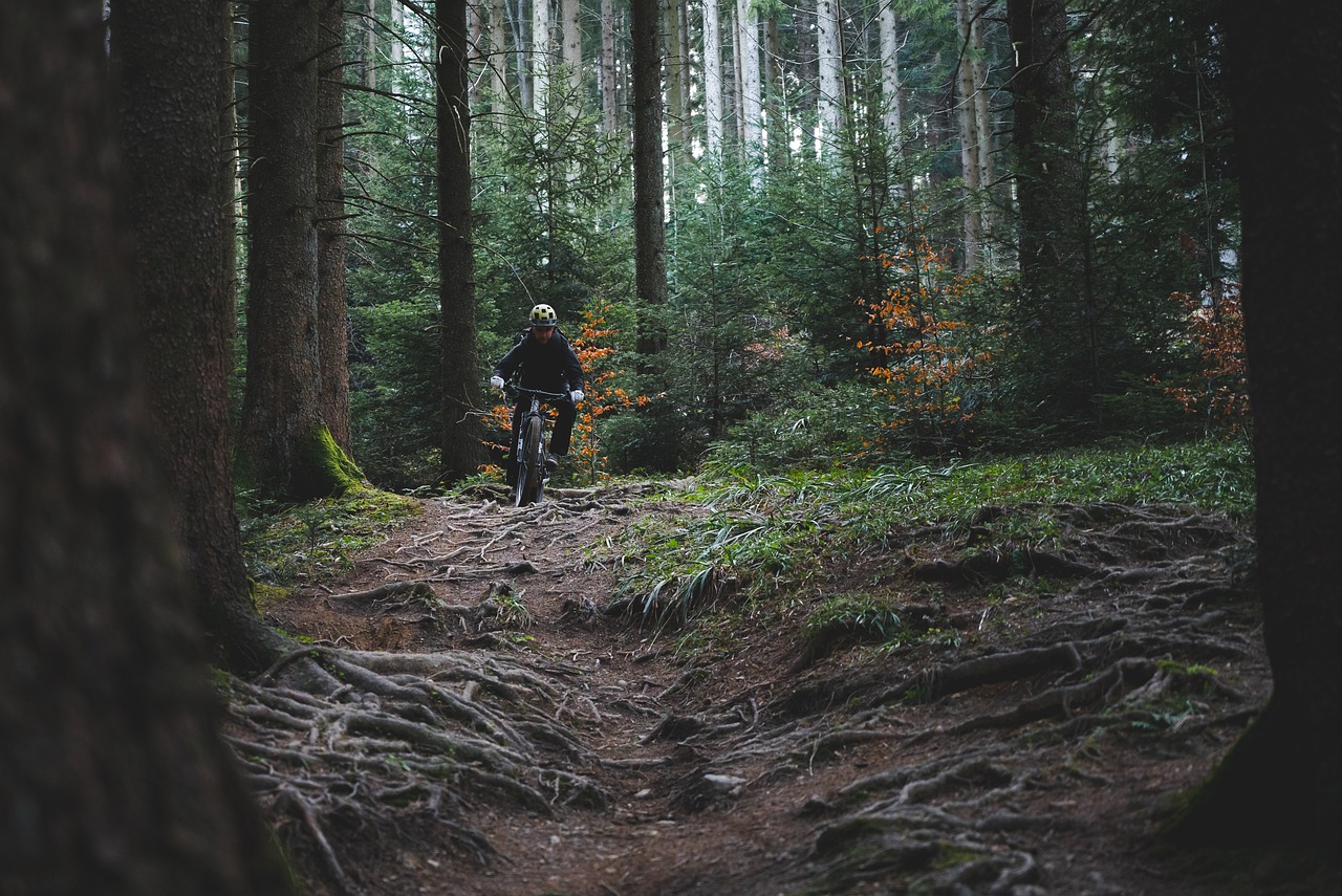 découvrez le monde passionnant du biking ! que vous soyez débutant ou expert, explorez des astuces, des itinéraires sensationnels et des conseils pour maximiser votre expérience à vélo. rejoignez notre communauté de passionnés et vivez des aventures inoubliables sur deux roues.