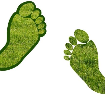 découvrez tout sur l'empreinte carbone : définition, impacts environnementaux, et moyens efficaces pour la réduire afin de contribuer à un avenir durable.