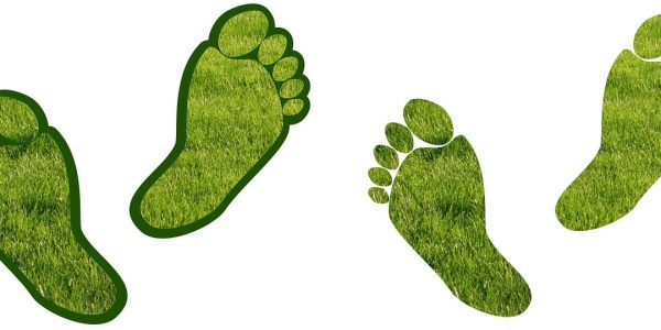 découvrez tout sur l'empreinte carbone : définition, impacts environnementaux, et moyens efficaces pour la réduire afin de contribuer à un avenir durable.