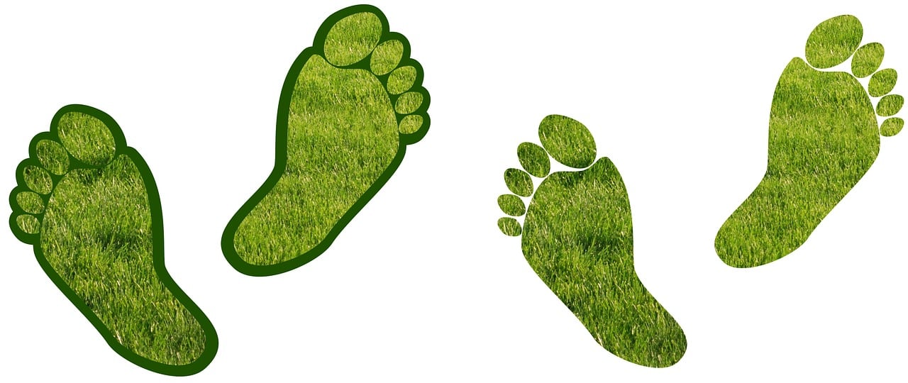 découvrez tout sur l'empreinte carbone : définition, impacts environnementaux, et moyens efficaces pour la réduire afin de contribuer à un avenir durable.