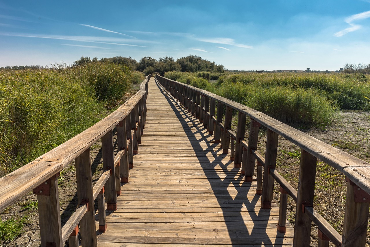 découvrez l'histoire fascinante de votre région à travers une promenade historique. plongez dans le passé, explorez des sites emblématiques et appréciez les récits qui ont façonné notre culture. une expérience inoubliable pour les passionnés d'histoire et les curieux!