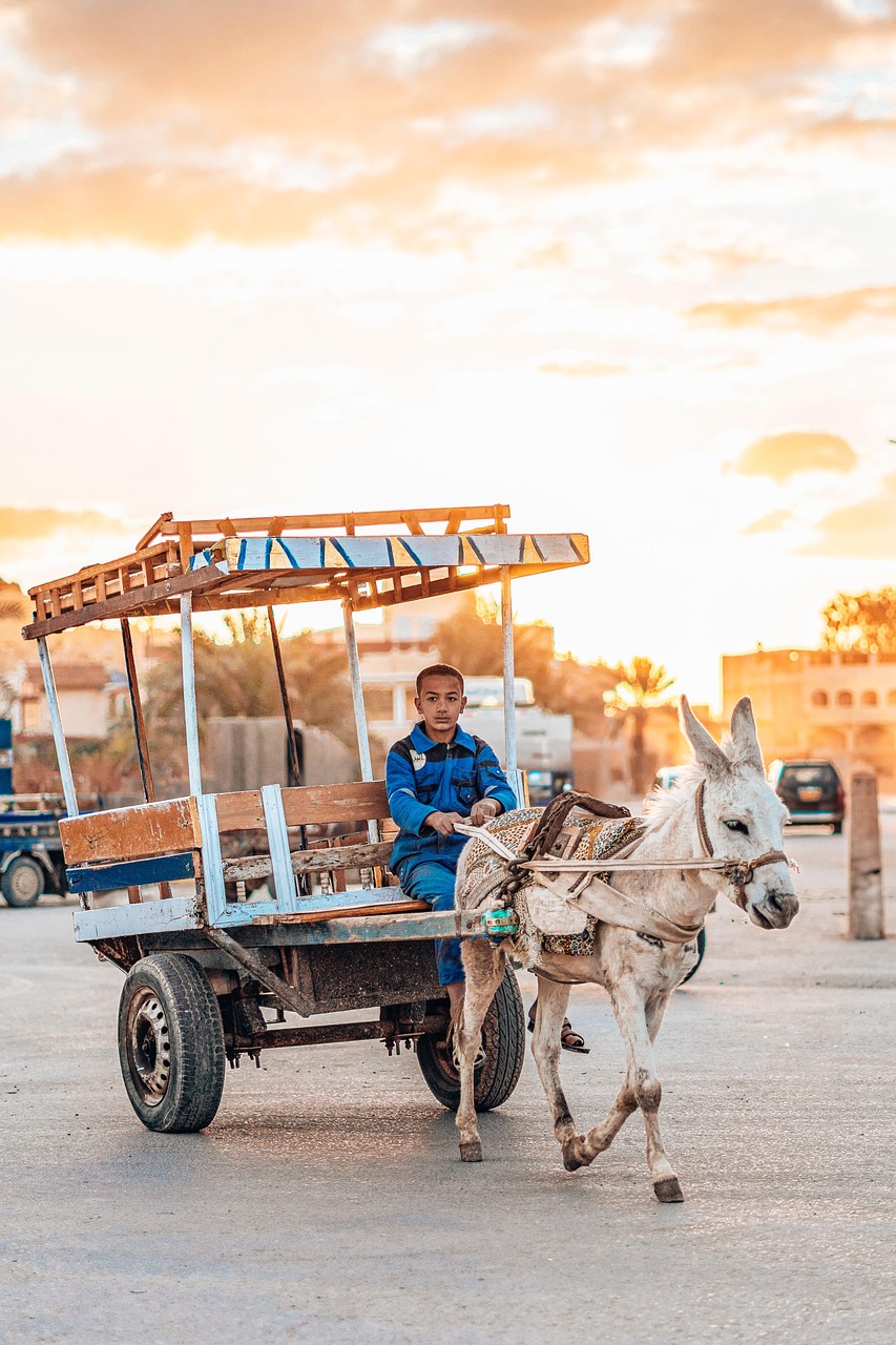 découvrez l'aventure locale comme jamais auparavant ! explorez des paysages enchanteurs, des activités palpitantes et des trésors cachés. rejoignez-nous pour vivre des moments inoubliables dans votre région.