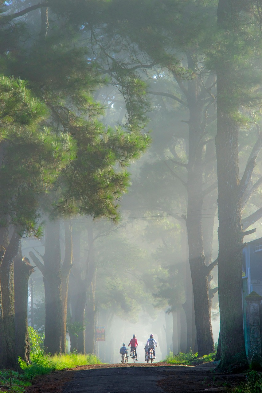 découvrez les merveilles de la nature à travers des explorations fascinantes. éveillez vos sens en vous aventurant dans des paysages époustouflants, des forêts luxuriantes aux montagnes majestueuses. rejoignez-nous pour une expérience immersive qui vous connectera avec l'environnement et la biodiversité qui nous entoure.