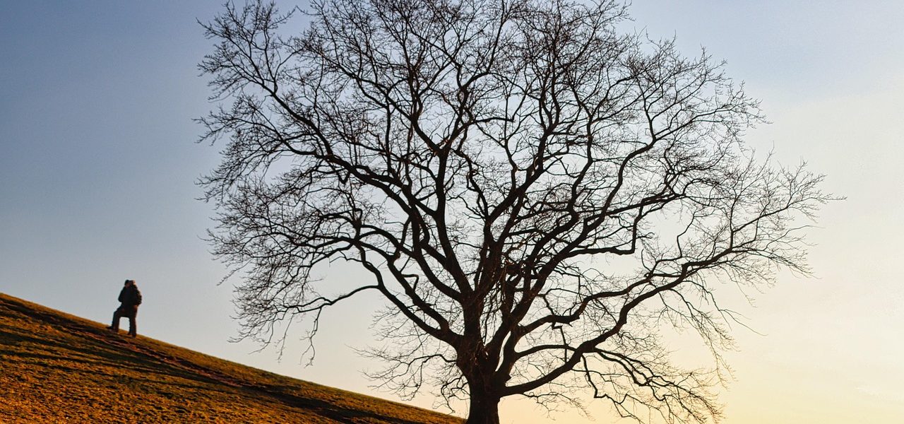 découvrez les merveilles de la nature à travers une exploration immersive. plongez dans des paysages époustouflants, observez la faune dans son habitat naturel et laissez-vous inspirer par la beauté de notre planète. partez à l'aventure et redécouvrez la magie de la nature.