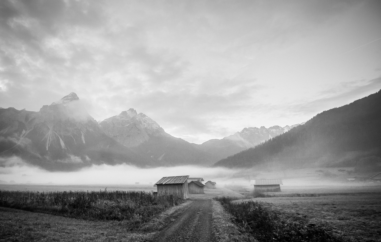 découvrez la beauté de la nature à travers l'exploration. partez à l'aventure dans des paysages enchanteurs, apprenez sur la faune et la flore, et reconnectez-vous avec l'environnement. un voyage inspirant pour tous les amoureux de la nature.