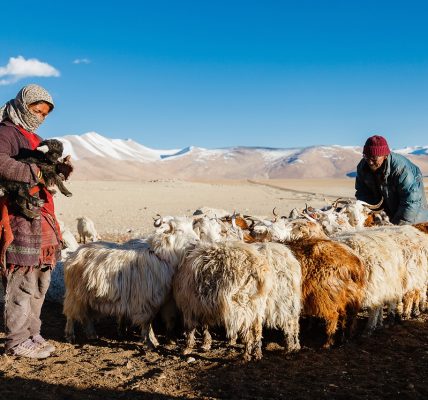 découvrez le mode de vie nomade : une aventure unique alliant liberté, exploration et connexion avec le monde. vivez au gré des voyages, adoptez une flexibilité sans pareille, et trouvez l’inspiration dans chaque nouvelle destination.