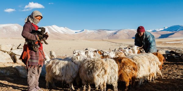 découvrez le mode de vie nomade : une aventure unique alliant liberté, exploration et connexion avec le monde. vivez au gré des voyages, adoptez une flexibilité sans pareille, et trouvez l’inspiration dans chaque nouvelle destination.