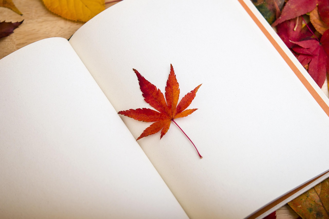 découvrez les aventures de votre vie à travers un journal de voyage captivant. capturez chaque moment, chaque paysage et chaque émotion, et partagez vos expériences inoubliables avec vos proches. laissez votre imagination s'envoler et créez le récit de vos péripéties autour du monde.