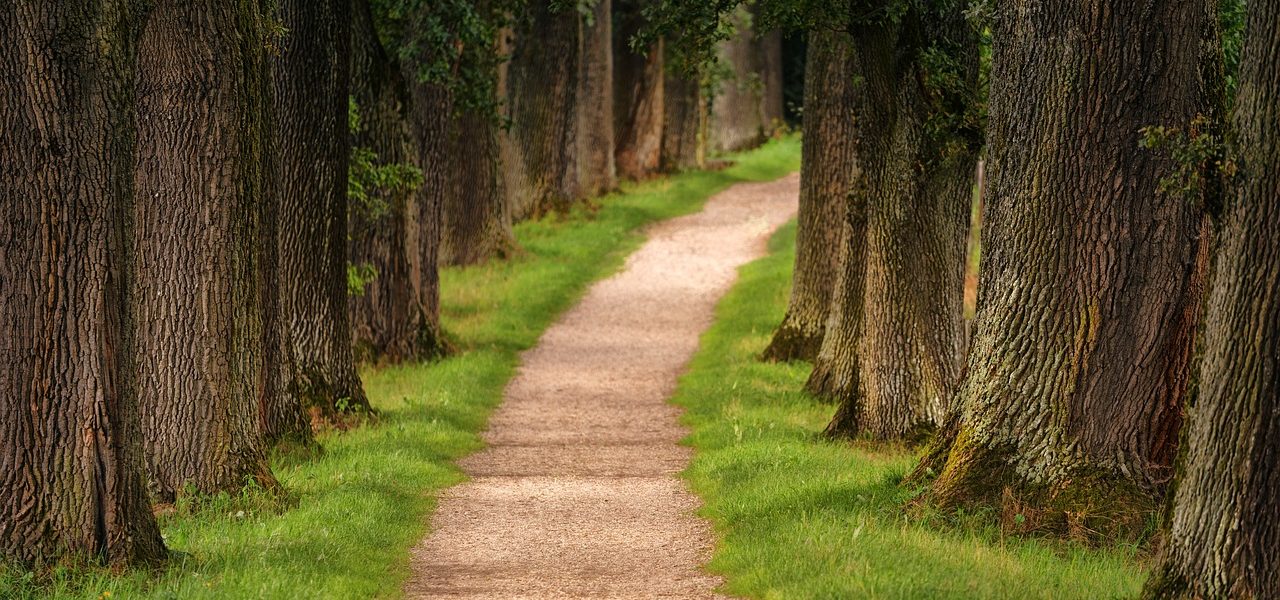 découvrez l'urban hiking, une aventure unique qui combine randonnée et exploration de la ville. partez à la découverte des sentiers cachés, des parcs urbains et des paysages méconnus tout en profitant de l'architecture moderne et du patrimoine culturel. parfait pour les amateurs de nature et de découvertes urbaines.