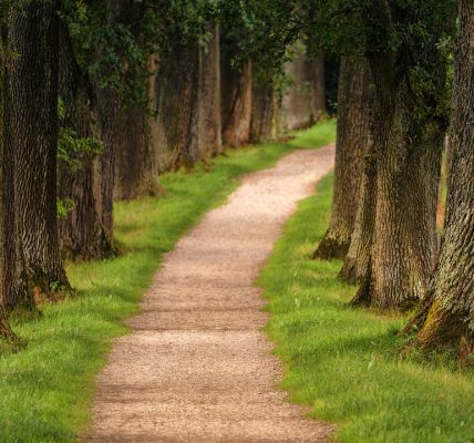 découvrez l'urban hiking, une aventure unique qui combine randonnée et exploration de la ville. partez à la découverte des sentiers cachés, des parcs urbains et des paysages méconnus tout en profitant de l'architecture moderne et du patrimoine culturel. parfait pour les amateurs de nature et de découvertes urbaines.