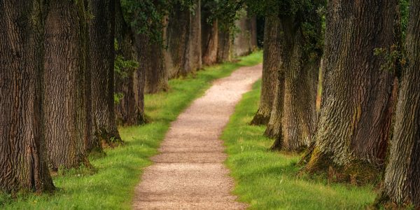 découvrez l'urban hiking, une aventure unique qui combine randonnée et exploration de la ville. partez à la découverte des sentiers cachés, des parcs urbains et des paysages méconnus tout en profitant de l'architecture moderne et du patrimoine culturel. parfait pour les amateurs de nature et de découvertes urbaines.
