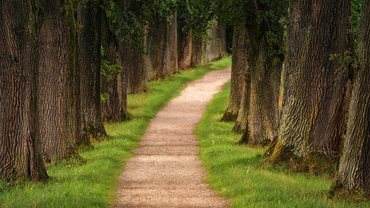 découvrez l'urban hiking, une aventure unique qui combine randonnée et exploration de la ville. partez à la découverte des sentiers cachés, des parcs urbains et des paysages méconnus tout en profitant de l'architecture moderne et du patrimoine culturel. parfait pour les amateurs de nature et de découvertes urbaines.