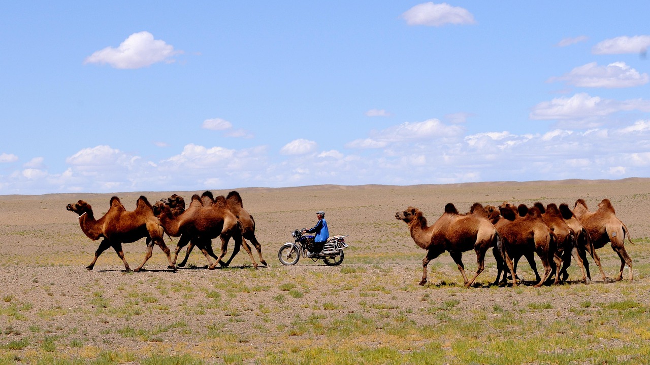 découvrez l'univers des digital nomads : une communauté d'entrepreneurs et de travailleurs à distance, explorant le monde tout en accueillant la flexibilité du travail en ligne. apprenez à concilier voyages, aventures et vie professionnelle.