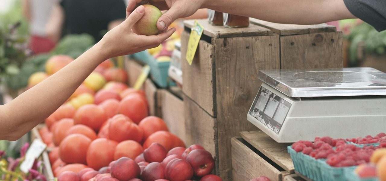 découvrez les producteurs locaux qui cultivent avec passion des produits frais et authentiques. soutenez l'agriculture de proximité et savourez des délices faits maison tout en préservant l'environnement.