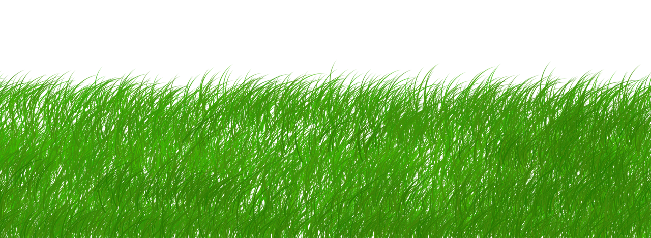 découvrez le concept de durabilité, un enjeu majeur pour notre planète. apprenez comment adopter des pratiques éco-responsables et contribuer à un avenir plus vert et plus durable pour les générations futures.