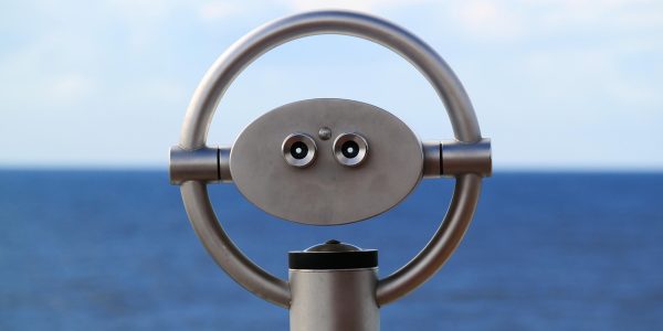 découvrez des croisières durables qui allient écoresponsabilité et exploration. embarquez pour des voyages en mer respectueux de l'environnement tout en profitant de paysages à couper le souffle et d'expériences inoubliables.