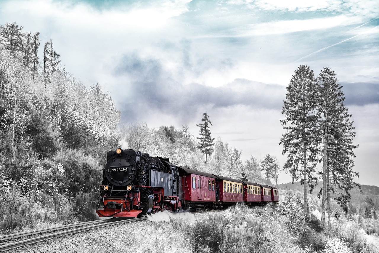 découvrez nos conseils essentiels pour voyager en train en toute sérénité. qu'il s'agisse de choisir le bon billet, de préparer votre voyage ou de profiter pleinement du trajet, nos astuces vous aideront à vivre une expérience de voyage inoubliable.
