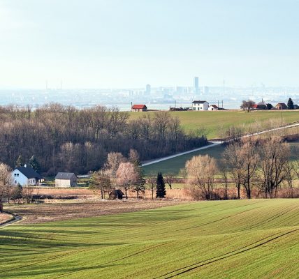 découvrez l'urban escape : un havre de paix en plein cœur de la ville, où vous pouvez vous ressourcer, vous détendre et vous échapper du stress urbain. un lieu idéal pour les citadins en quête de sérénité et de nature.