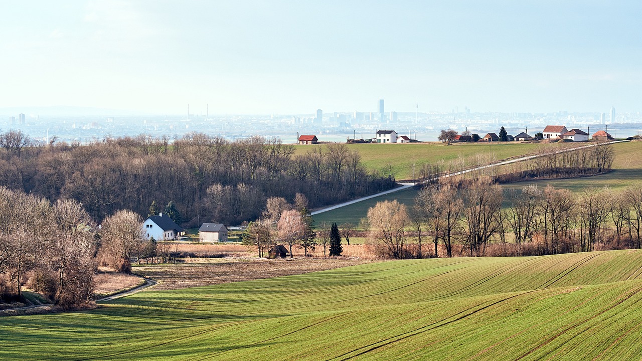 découvrez l'urban escape : un havre de paix en plein cœur de la ville, où vous pouvez vous ressourcer, vous détendre et vous échapper du stress urbain. un lieu idéal pour les citadins en quête de sérénité et de nature.