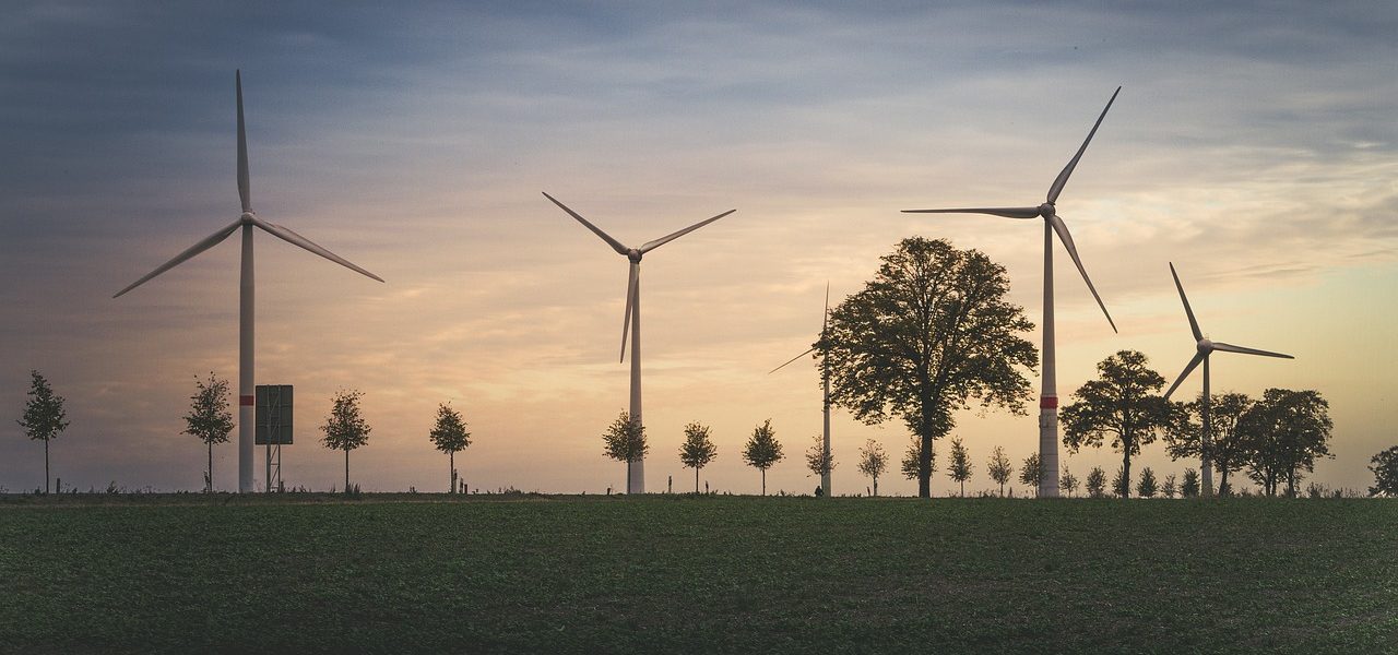 découvrez l'impact environnemental de nos actions quotidiennes et apprenez comment contribuer à un avenir durable. explorez les enjeux écologiques, les solutions innovantes et les pratiques responsables pour préserver notre planète.