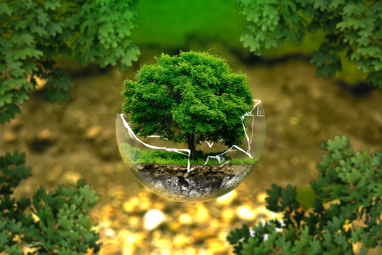 découvrez l'impact environnemental des activités humaines et explorez des solutions durables pour préserver notre planète. informez-vous sur les enjeux écologiques, les changements climatiques et les actions à entreprendre pour un avenir plus vert.