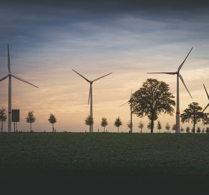 découvrez l'impact environnemental de nos actions quotidiennes et apprenez comment contribuer à un avenir durable. explorez les enjeux écologiques, les solutions innovantes et les pratiques responsables pour préserver notre planète.