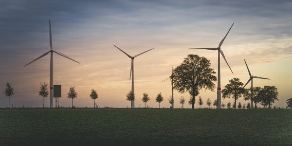 découvrez l'impact environnemental de nos actions quotidiennes et apprenez comment contribuer à un avenir durable. explorez les enjeux écologiques, les solutions innovantes et les pratiques responsables pour préserver notre planète.