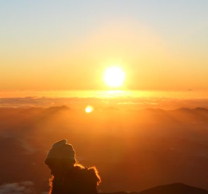 découvrez comment la gratitude peut transformer votre quotidien, renforcer vos relations et améliorer votre bien-être. conseils, bienfaits et pratiques pour intégrer la reconnaissance dans votre vie.