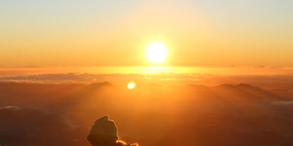 découvrez comment la gratitude peut transformer votre quotidien, renforcer vos relations et améliorer votre bien-être. conseils, bienfaits et pratiques pour intégrer la reconnaissance dans votre vie.