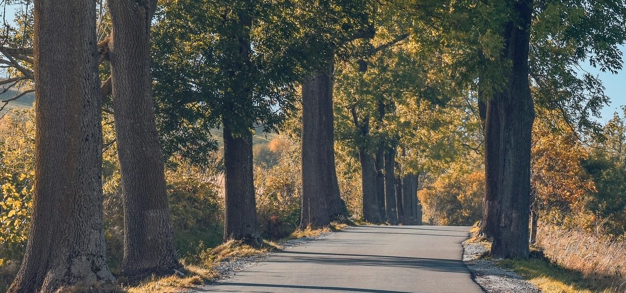 découvrez les meilleures destinations à visiter selon les saisons, avec des conseils pour profiter pleinement de vos voyages saisonniers et vivre des expériences uniques tout au long de l’année.