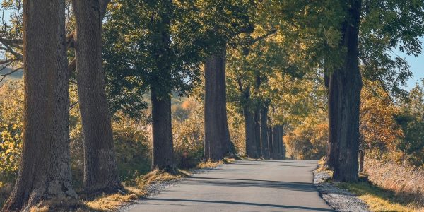 découvrez les meilleures destinations à visiter selon les saisons, avec des conseils pour profiter pleinement de vos voyages saisonniers et vivre des expériences uniques tout au long de l’année.