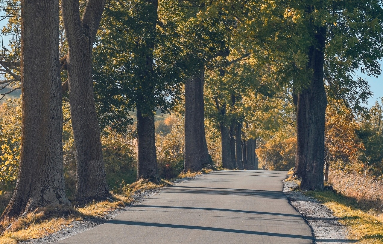 découvrez les meilleures destinations à visiter selon les saisons, avec des conseils pour profiter pleinement de vos voyages saisonniers et vivre des expériences uniques tout au long de l’année.