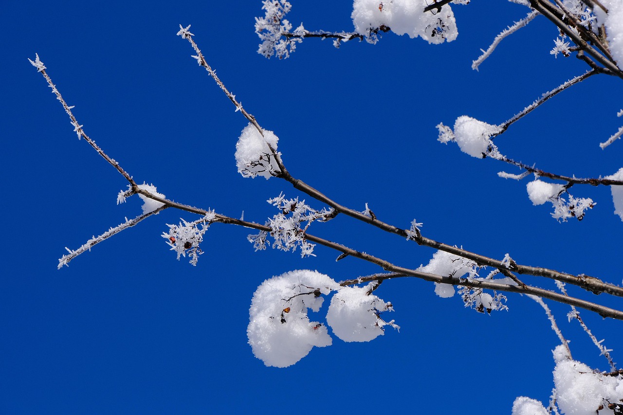 découvrez tout sur les saisons : leurs caractéristiques, dates, phénomènes naturels et impact sur notre vie quotidienne. comprenez l’importance des cycles saisonniers et comment ils influencent l’environnement.