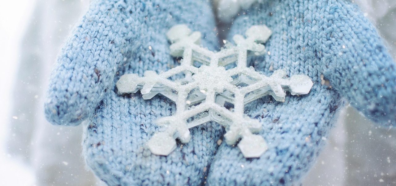 découvrez les différentes saisons de l'année, leurs caractéristiques, leur influence sur la nature et la vie quotidienne. apprenez comment le printemps, l'été, l'automne et l'hiver rythment notre existence au fil des mois.