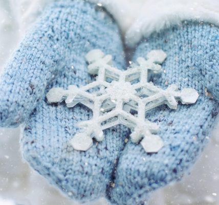 découvrez les différentes saisons de l'année, leurs caractéristiques, leur influence sur la nature et la vie quotidienne. apprenez comment le printemps, l'été, l'automne et l'hiver rythment notre existence au fil des mois.