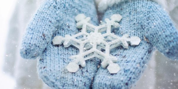 découvrez les différentes saisons de l'année, leurs caractéristiques, leur influence sur la nature et la vie quotidienne. apprenez comment le printemps, l'été, l'automne et l'hiver rythment notre existence au fil des mois.