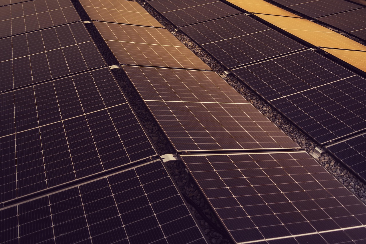 découvrez comment intégrer la durabilité dans votre quotidien et votre entreprise grâce à des conseils pratiques, des innovations et des solutions responsables pour un avenir plus vert et respectueux de l'environnement.