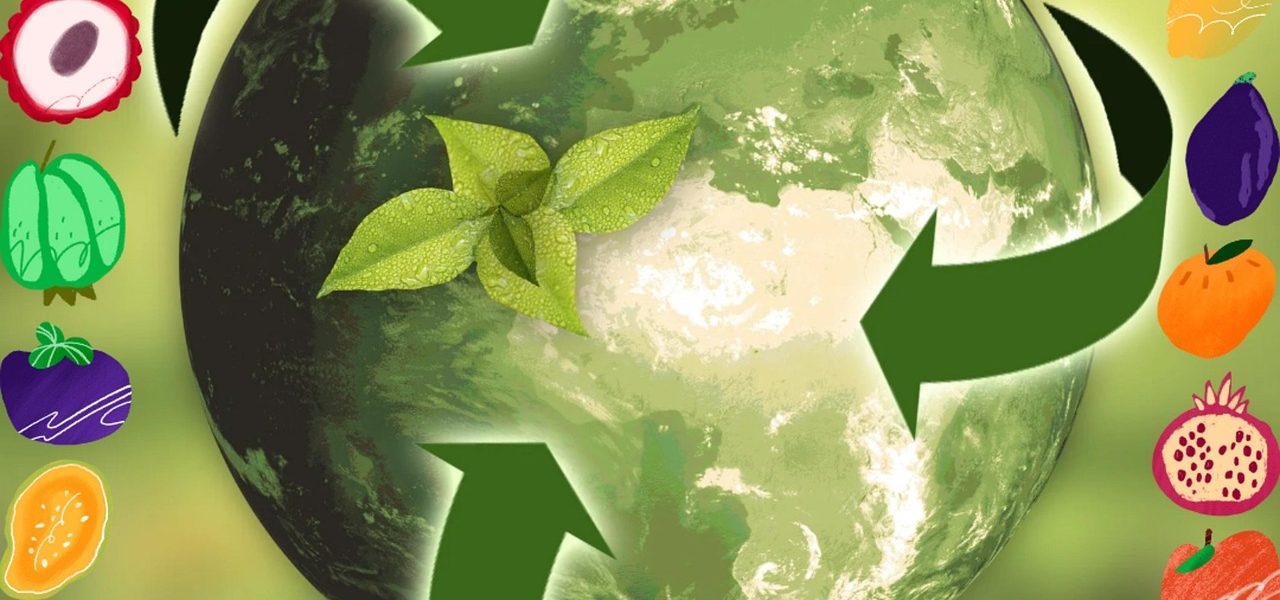 découvrez nos conseils et astuces pour voyager de manière durable, réduire votre impact environnemental et profiter d’expériences responsables lors de vos déplacements.