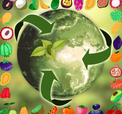 découvrez nos conseils et astuces pour voyager de manière durable, réduire votre impact environnemental et profiter d’expériences responsables lors de vos déplacements.