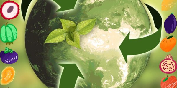 découvrez nos conseils et astuces pour voyager de manière durable, réduire votre impact environnemental et profiter d’expériences responsables lors de vos déplacements.