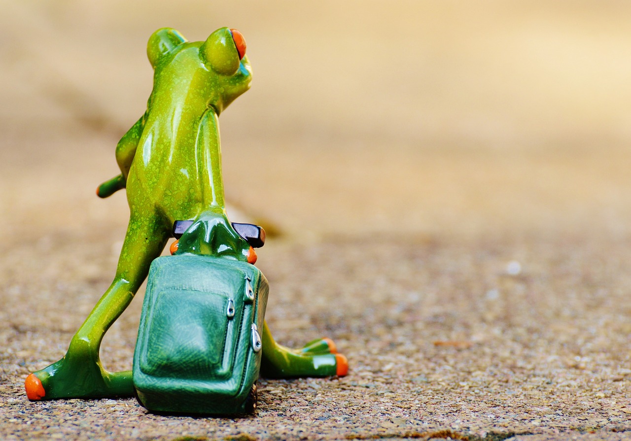 découvrez le monde à travers nos conseils et astuces de voyage. inspirez-vous pour vos prochaines aventures, trouvez des destinations uniques et préparez votre prochain séjour en toute sérénité.