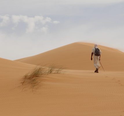 découvrez des conseils, guides et astuces pour voyageurs passionnés ! préparez vos aventures à travers le monde avec nos informations pratiques et inspirations de voyage.