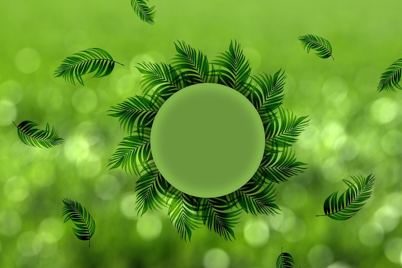 découvrez la beauté et l'importance d'une réserve écologique : un espace protégé dédié à la préservation de la biodiversité, où faune et flore cohabitent en harmonie pour offrir un refuge naturel et unique.